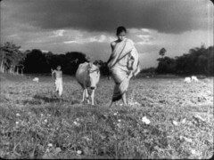 সোঁদা গন্ধ সোঁদা গন্ধ