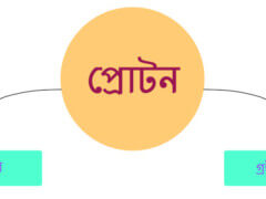প্রোটন ট্রান্সফার বিক্রিয়া সম্পর্কে একটি ভুল ধারণা প্রোটন ট্রান্সফার বিক্রিয়া সম্পর্কে একটি ভুল ধারণা