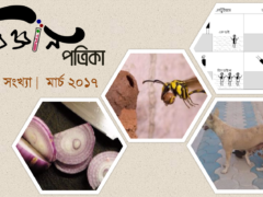 বিজ্ঞান পত্রিকা-র সপ্তম সংখ্যা: প্রাণীজগতে স্বার্থপরতা ও অন্যান্য প্রবন্ধ বিজ্ঞান পত্রিকা-র সপ্তম সংখ্যা: প্রাণীজগতে স্বার্থপরতা ও অন্যান্য প্রবন্ধ