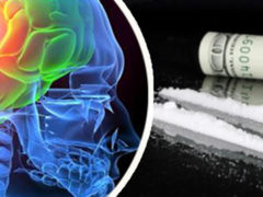 কোকেনের প্রভাবে মস্তিষ্ক কোষের স্বজাতিভক্ষণ রুখতে নতুন দাওয়াই কোকেনের প্রভাবে মস্তিষ্ক কোষের স্বজাতিভক্ষণ রুখতে নতুন দাওয়াই