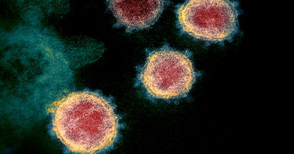 %e0%a6%9c%e0%a7%80%e0%a6%ac%e0%a6%be%e0%a6%a3%e0%a7%81%e0%a6%a6%e0%a7%87%e0%a6%b0-%e0%a6%af%e0%a6%a4-%e0%a6%95%e0%a6%a5%e0%a6%be